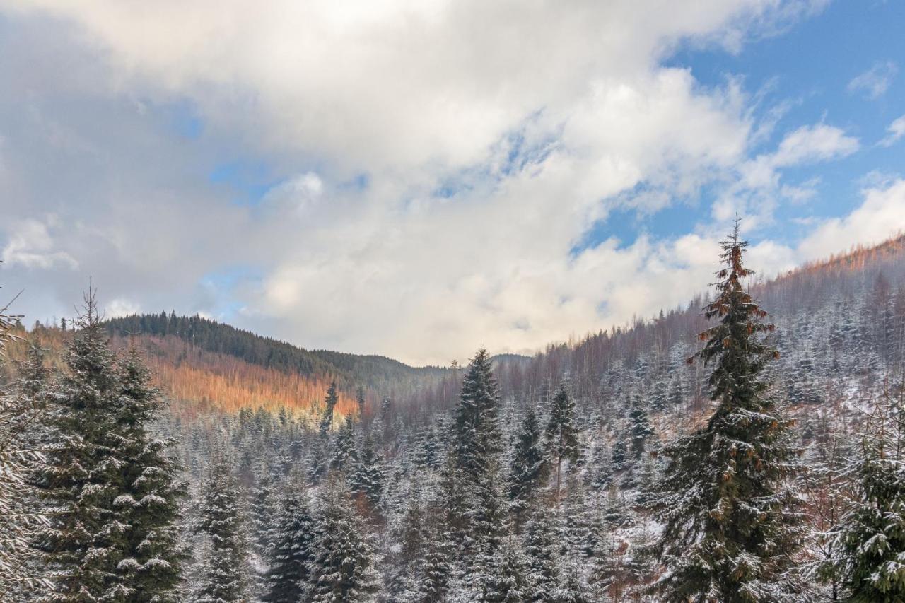 Konopka Forest Home Bukovel Exterior foto