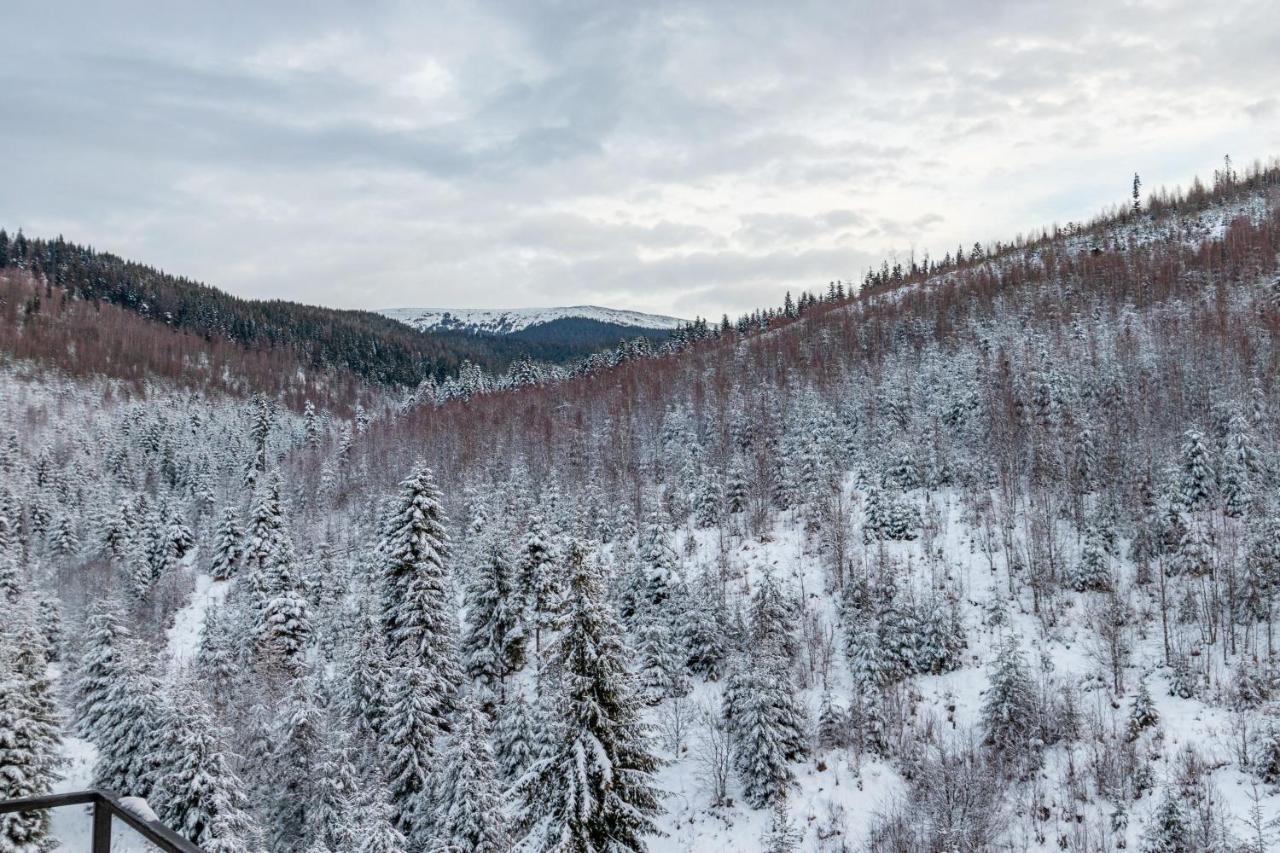 Konopka Forest Home Bukovel Exterior foto